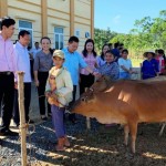 Nhiều hộ gia đình chính sách, hộ nghèo ở xã Vạn Xuân vui mừng khi được trao tặng bò giống sinh sản
