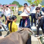 Phó Chủ tịch Thường trực Quốc hội Tòng Thị Phóng cùng Công đoàn NHCSXH trao tặng 10 con trâu sinh sản cho các hộ dân trên đạ bàn xã Vĩnh Lạc