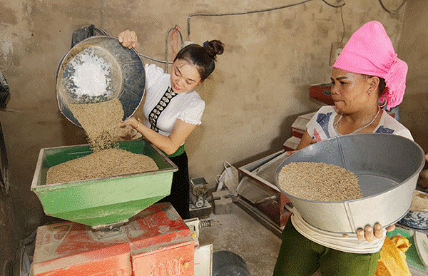 Gia đình chị Hà Thị Thảo, người dân tộc Thái ở thôn Phan Thượng, xã Nghĩa Lợi, TX Nghĩa Lộ vay 50 triệu đồng đầu tư mua máy xay sát gạo, phục vụ bà con thôn bản; đồng thời còn tận dụng cám để chăn nuôi
