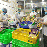 Đóng gói sản phẩm hoa quả sấy tại Công ty Quang Vinh Food