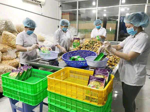Đóng gói sản phẩm hoa quả sấy tại Công ty Quang Vinh Food