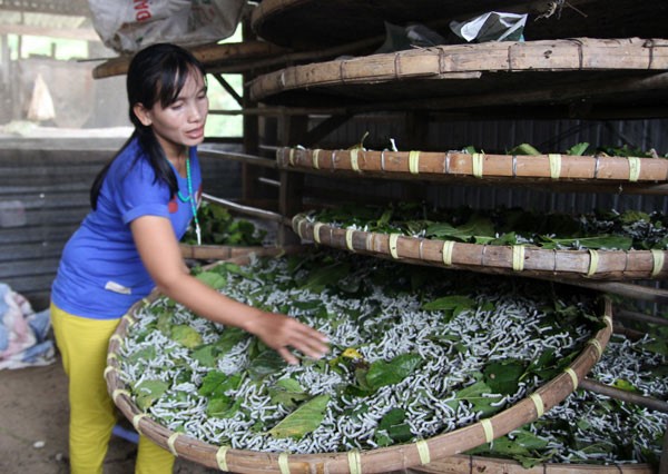 Tín dụng chính sách góp phần đổi thay tư duy làm kinh tế của đồng bào ở Đam Rông