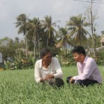 Ông Dương Văn Nhiều ở xã An Hả, huyện Lý Sơn (Quảng Ngãi) chia sẻ về mô hình trồng tỏi với cán bộ ngân hàng
