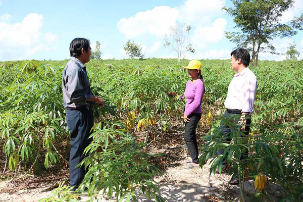 Tín dụng chính sách góp phần giúp đồng bào DTTS trên địa bàn huyện Kông Chro có điều kiện phát triển SXKD