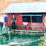 Phụ nữ nghèo xã Chiềng Bằng, huyện Quỳnh Nhai vay vốn ưu đãi phát triển nuôi cá lồng trên lòng hồ thủy điện Sơn La