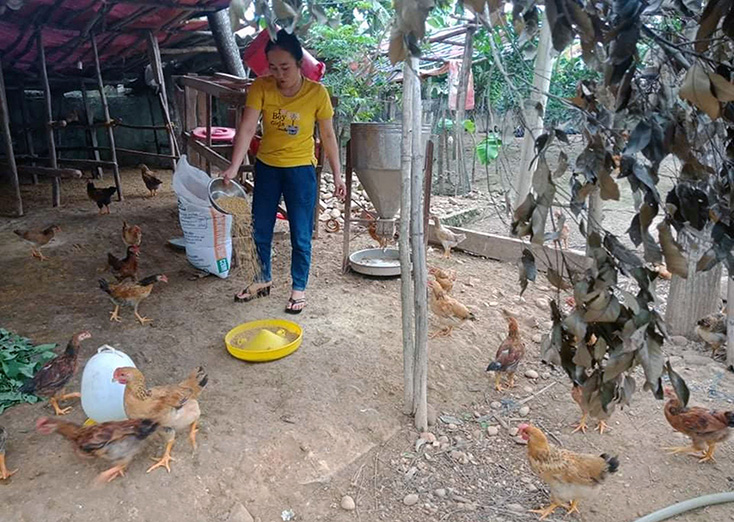 Chị Đoàn Thị Hương ở xã Quảng Lưu vay vốn đầu tư chăn nuôi