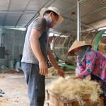 Làng nghề chỉ xơ dừa An Thạnh, xã Đa Phước Hội, huyện Mỏ Cày giải quyết nhiều việc làm cho người dân địa phương
