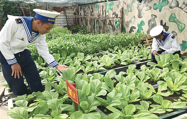 Các chiến sỹ đảo Sinh Tồn Đông chăm sóc vườn rau sau giờ huấn luyện