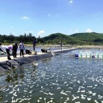 Nguồn tín dụng ưu đãi đầu tư nuôi tôm hiệu quả kinh tế cao ở xã Diễn Trung, huyện Diễn Châu