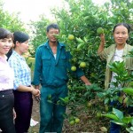Chị Nguyễn Thị Thu Thủy (người ngoài cùng bên trái) thăm mô hình vay vốn phát triển sản xuất tại xã Đồng Thanh, huyện Kim Động