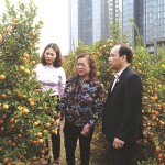 Hiệu quả đầu tư từ nguồn vốn vay chính sách của gia đình bà Nguyễn Thị Sửu ở phường Đông Ngạc, quận Bắc Từ Liêm