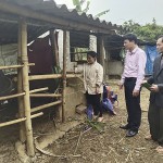Gia đình chị Bùi Thị Ứn ở xóm Dệ, xã Bắc Phong, huyện Cao Phong sử dụng vốn vay ưu đãi từ NHCSXH để nuôi trâu, nâng cao thu nhập