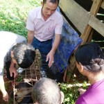 Cán bộ NHCSXH huyện Quế Phong kiểm tra con giống cho bà con bản Pà Khốm