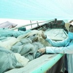 Có tàu mới, việc đánh bắt hải sản của gia đình chị Đặng Thị Luận ở xã Kỳ Phú, huyện Kỳ Anh thuận lợi hơn