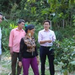 Cán bộ Phòng giao dịch NHCSXH huyện Quỳ Châu thăm mô hình trồng cam của gia đình ông Vi Văn Phương ở bản Đôm 1, xã Châu Phong 
 Ảnh thực hiện trước ngày 27.4.2021