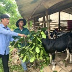 Anh Hồ Minh ở bản Lâm Ninh, xã Trường Xuân, huyện Quảng Ninh vay vốn ưu đãi phát triển chăn nuôi dê