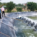 Hồ nuôi tôm, cá của gia đình chị Vũ Minh Hường được sửa chữa, nâng cấp nhằm bảo đảm chất lượng và sản lượng sản phẩm nuôi trồng