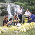 Nguồn vốn ưu đãi của NHCSXH giúp đồng bào người Dao ở xã Phúc An, huyện Yên Bình duy trì làng nghề truyền thống đan rọ tôm