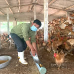 Trang trại chăn nuôi với quy trình khép kín của ông Phạm Văn Tam