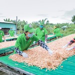 Cơ sở sản xuất thực phẩm chay Bảy Lên ở tỉnh Đồng Tháp vay vốn chính sách phát triển SXKD, tạo việc làm ổn định, bền vững cho lao động nữ