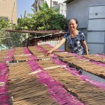 Được vay vốn chính sách, chị Trần Thị Bi đầu tư vào sản xuất hương