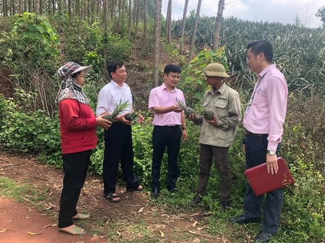 Cán bộ tín dụng NHCSXH huyện Lục Nam trao đổi việc sử dụng vốn vay ưu đãi của hộ vay trồng dứa chuyên canh tại thôn Đồng Cống, xã Bảo Sơn