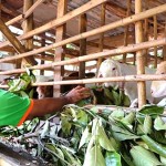 Nhiều hộ nghèo ở TP Long Khánh vay vốn chính sách đầu tư nuôi dê, mang lại hiệu quả kinh tế cao
