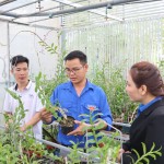 Tại xã Tân Thành, tổ liên kết trồng hoa lan trong nhà kính do anh Hà Thế Mạnh (sinh năm 1988) làm tổ trưởng đã khẳng định được hiệu quả trong những năm qua