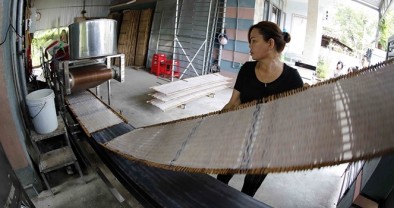 Hoạt động tín dụng chính sách ở Bình Định (Bài cuối: Góp sức xây dựng nông thôn mới)