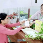 Khách hàng đến mở sổ tiết kiệm tại trụ sở của NHCSXH huyện Minh Long
