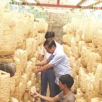 Nguồn vốn ưu đãi đã tiếp sức cho mô hình trồng nấm của anh Đào Văn Hưng