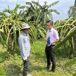 Cán bộ NHCSXH huyện Hàm Thuận Nam thường xuyên kiểm tra hiệu quả sử dụng vốn vay của hộ vay vốn tại địa phương