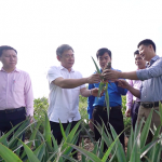 Anh Lê Trường Tùng (ngoài cùng, bên phải) - Giám đốc Công ty cổ phần chế biến nông sản Trung Thành khởi nghiệp thành công nguồn vốn chính sách