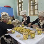 Nguồn vốn ưu đãi đã hỗ trợ Hợp tác xã nông lâm Nghĩa Tá phát triển thương hiệu trà hoa vàng và tạo việc làm cho lao động địa phương