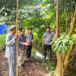 Đoàn công tác của tỉnh Quảng Ngãi tham quan mô hình trồng cây ăn trái kết hợp với du lịch cộng đồng tại TP Cần Thơ