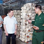 Lãnh đạo Trung ương Hội CCB Việt Nam đến thăm mô hình trại sản xuất nấm ăn của ông Vũ Văn Duân (bên phải)