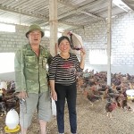 Vợ chồng chị Từ Thị Liên tại trang trại gà của gia đình