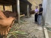 Tín dụng chính sách xã hội giúp người dân huyện Anh Sơn thoát nghèo bền vững