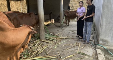 Tín dụng chính sách xã hội giúp người dân huyện Anh Sơn thoát nghèo bền vững