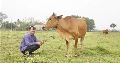 Vốn tín dụng chính sách giúp nông dân Đà Nẵng thoát nghèo bền vững