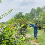 Gia đình anh Dương Văn Khiếu ở xã Diễn Liên vay vốn chính sách đầu tư mô hình vườn ao chuồng mang lại hiệu quả kinh tế cao