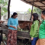 Đồng bào dân tộc Gia Rai ở huyện Ia Pa phát triển chăn nuôi từ vốn tín dụng chính sách