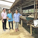 Cán bộ NHCSXH huyện Gia Viễn thăm mô hình nuôi dê kết hợp trồng hoa công nghệ cao của gia đình anh Vũ Hồng Nhất, xã Gia Hòa
