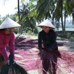 Người dân Bình Định ổn định cuộc sống từ nguồn vốn chính sách