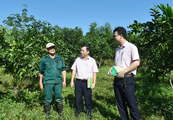 Anh Lê Xuân Hải (áo xanh) giới thiệu mô hình kinh tế của gia đình được đầu tư từ nguồn vốn chính sách