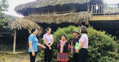 Cao nguyên Mộc Châu giảm nghèo bền vững từ nguồn vốn chính sách