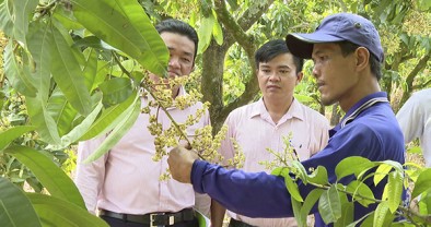 Nguồn vốn chính sách góp phần bảo đảm an sinh xã hội