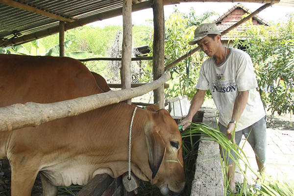 khi-chi-thi-cua-dang-duoc-nhan-dan-dong-tinh-ung-ho-bai-1-20241210221744