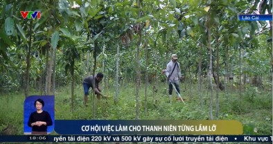 Cơ hội việc làm cho thanh niên từng lầm lỡ (VTV1 - 17h30 - 7.12.2024)