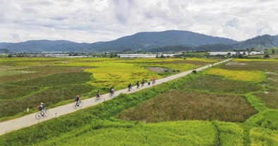 Tín dụng chính sách xã hội - trụ đỡ hợp “Ý Đảng - Lòng Dân” (Bài 1 - Tác phẩm đoạt giải Đặc biệt Cuộc thi viết “Tín dụng Chính sách xã hội - Ý Đảng, lòng Dân”)